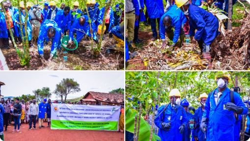 burundi-campagne-de-pulverisation-de-fertilisation-et-de-plantation-des-cafeiers