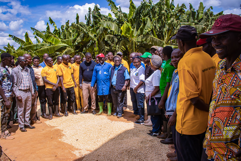 gitega-les-autorites-agricoles-saluent-l-engagement-des-agriculteurs-et-eleveurs-de-shombo-dans-la-transformation-du-secteur-rural