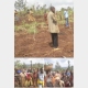 Burundi : La population de Gishubi invités à pratiquer l'agriculture moderne