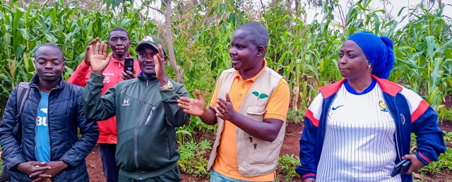 2974f62a 5239 4c91 bf6c 3ce24d56fa0f