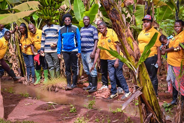 gitega-la-ministre-calinie-mbarushimana-encourage-l-irrigation-pour-accroitre-la-production-agricole-en-saison-seche
